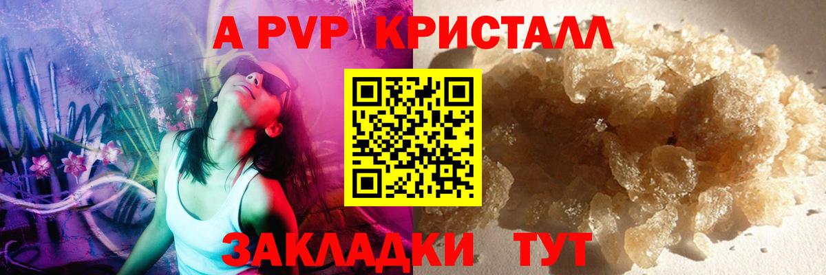 Альфа ПВП СК КРИС Гудермес
