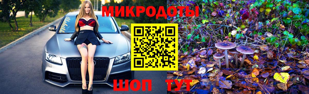 Галлюциногенные грибы GOLDEN TEACHER  Вход с VPN  магазин продажи наркотиков  Псилоцибиновые грибы мицелий  Гудермес 