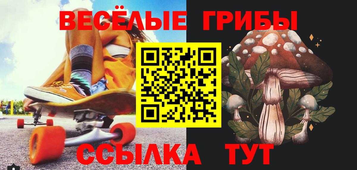 Галлюциногенные грибы Psilocybe Гудермес